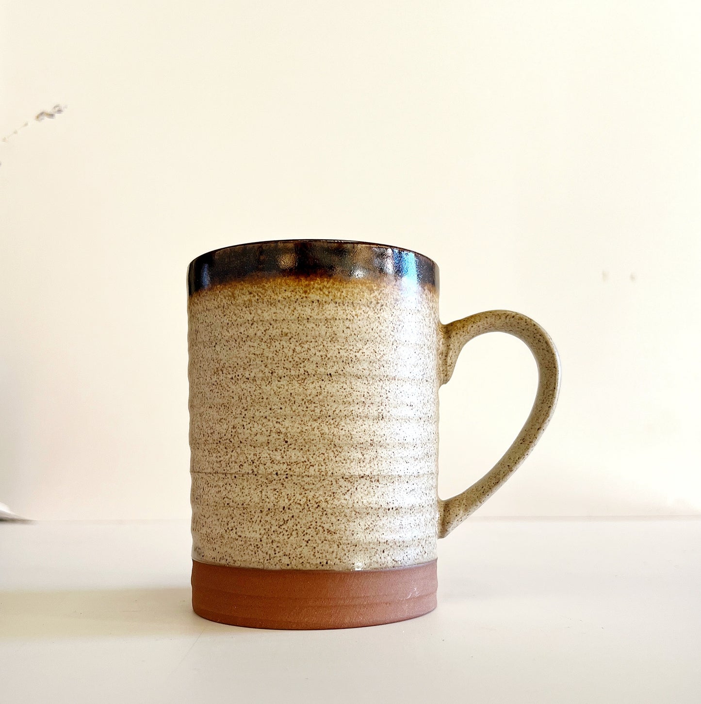 Ceramic Mug