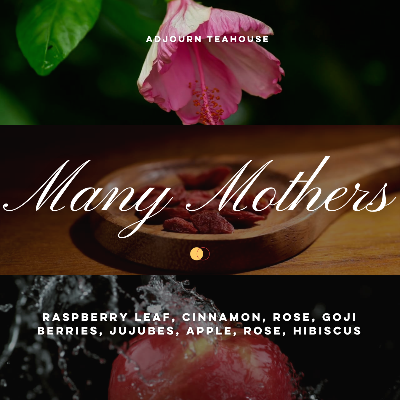 Many Mothers