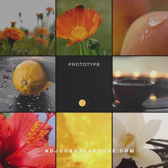 Prototype